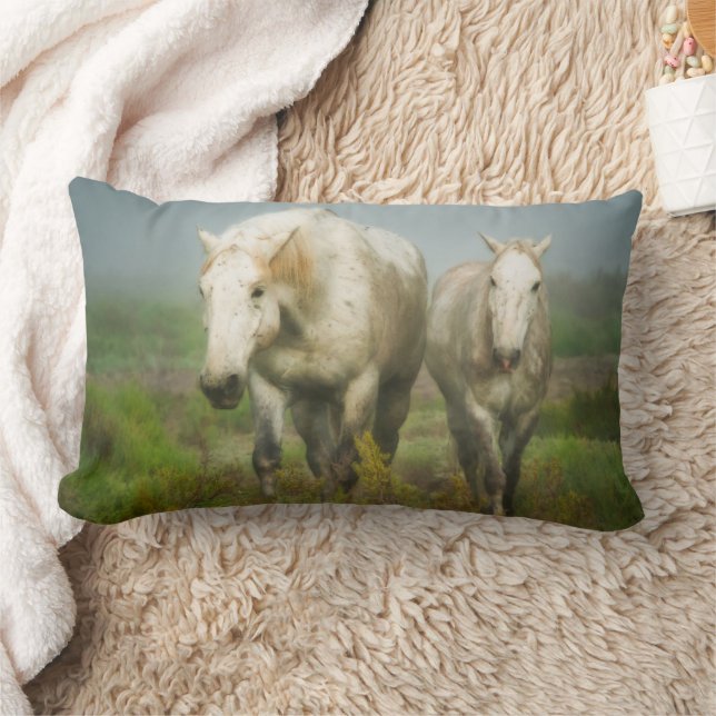 Witte paarden van Camargue in het veld Kussen (Deken)