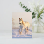 Witte paarden, witte sneeuw briefkaart (Staand voorkant)