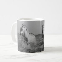 Witte paarden, zwart-witte fotografie