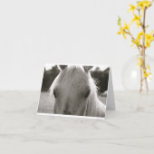 witte paardenblanco noot kaart (Gele Bloem)