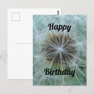 Witte Paardenbloem Ansichtkaart Briefkaart