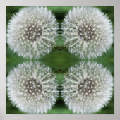 Witte paardenbloem pluis close-up Abstract Poster (Voorkant)