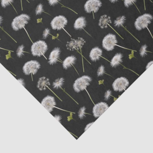 Witte paardenbloem pluis tissuepapier (Detail)