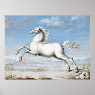 Witte Paardenschilderij Joris Hoefnagel  Renai Poster