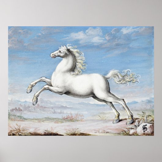 Witte Paardenschilderij Joris Hoefnagel  Renai Poster (Voorkant)