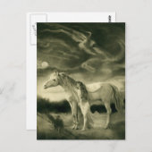 witte paardenvrouw briefkaart (Voorkant / Achterkant)