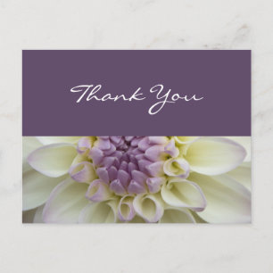 Witte & Paarse Dahlia · Dank u Briefkaart