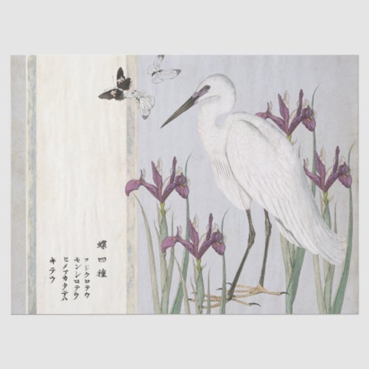 witte Paarse iris Butterfly Japans Tissuepapier (Voorkant)