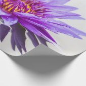 Witte Paarse Lotus Bloem Zen Cadeaupapier (Hoek)