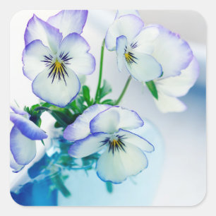 Witte Paarse Pansies Bloemen Blauwe Vaas Bloemen Vierkante Sticker