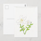 witte paaslelie briefkaart (Voorkant / Achterkant)