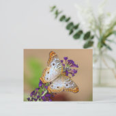 Witte pacock Butterfly op paarse bloemen Briefkaart (Staand voorkant)