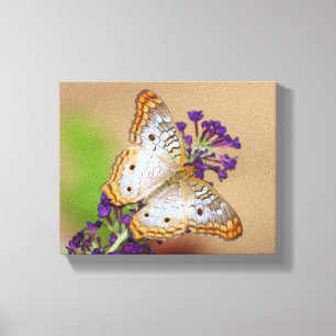 Witte pacock Butterfly op paarse bloemen Canvas Afdruk