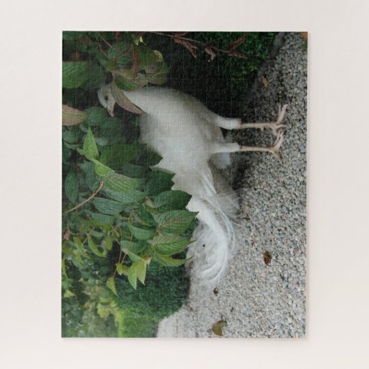 Witte pacock Puzzle Legpuzzel (Verticaal)