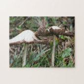 Witte paddenstoel Natuur Legpuzzel (Horizontaal)