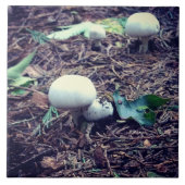 Witte paddenstoelen tegeltje (Voorkant)