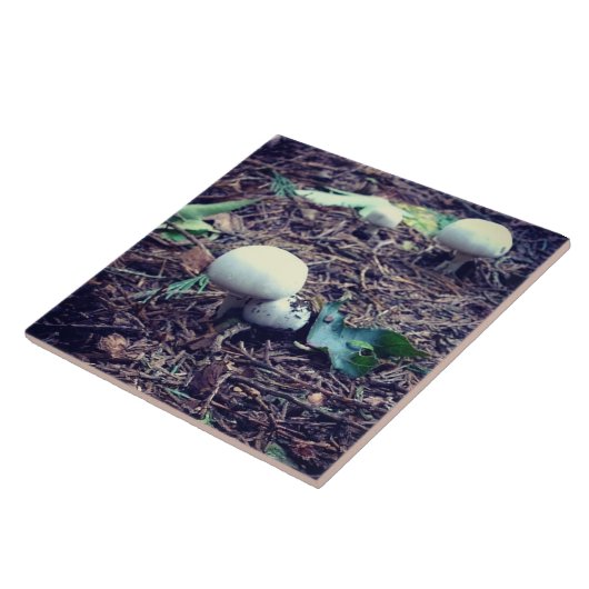 Witte paddenstoelen tegeltje (Zijkant)