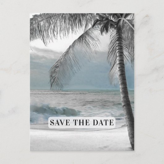 Witte Palm Kokosboom Elegante Chic Save the Date Aankondigingskaart (Voorkant)