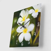 Witte pannenbloemen vierkante klok (Hoek)