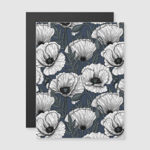 Witte papaver