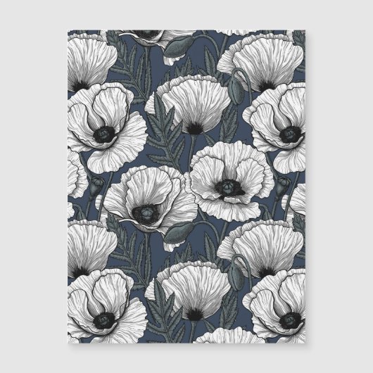 Witte papaver (Voorkant)
