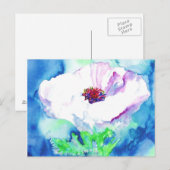 Witte papaver. briefkaart (Voorkant / Achterkant)