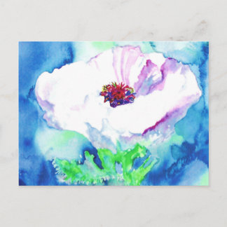 Witte papaver. briefkaart