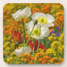 Witte papaver die rond de kleurrijke bloemen groei bier onderzetter