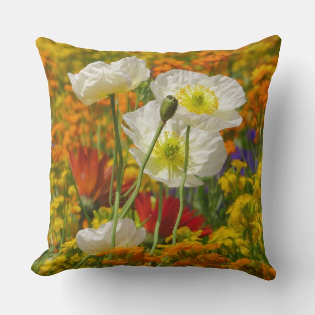 Witte papaver die rond de kleurrijke bloemen groei kussen (Voorkant)