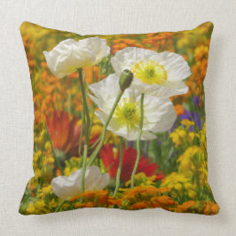 Witte papaver die rond de kleurrijke bloemen groei kussen