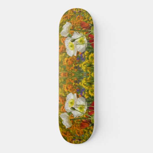 Witte papaver die rond de kleurrijke bloemen groei persoonlijk skateboard (Voorkant)