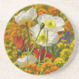 Witte papaver die rond de kleurrijke bloemen groei zandsteen onderzetter