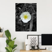Witte papaver na de regen poster (Thuiskantoor)