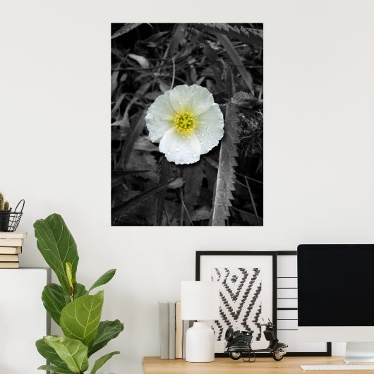 Witte papaver na de regen poster (Thuiskantoor)