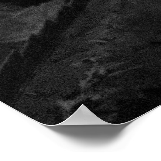 Witte papaver na de regen poster (Hoek)