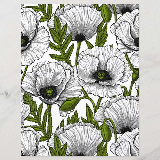Witte papaver op wit (Voorkant)