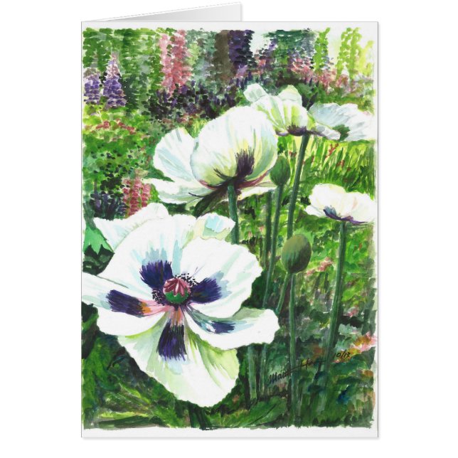 Witte papaverbloemen in het veld (Voorkant)