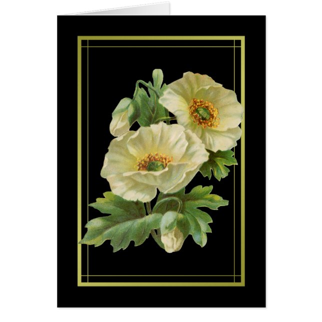 Witte papavers Bedankt kaarten (Voorkant)