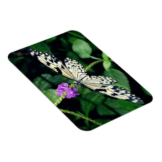 Witte Paperkite vlinder Magneet (Rechterzijde)