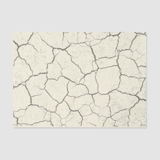 Witte  papier voor gebroken botten (Voorkant)