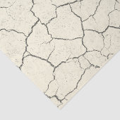 Witte  papier voor gebroken botten (Detail)