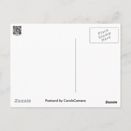 Witte parasolpaddenstoel Coördinerende items Briefkaart (Achterkant)