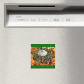 Witte parasolpaddenstoel Coördinerende items Magneet (Insitu (Vaatwasser))