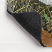 Witte parasolpaddenstoel Coördinerende items Muismat (Hoek)
