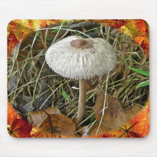 Witte parasolpaddenstoel Coördinerende items Muismat (Voorkant)