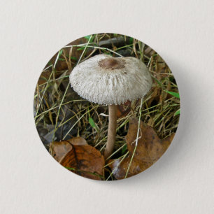 Witte parasolpaddenstoel Coördinerende items Ronde Button 5,7 Cm