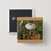 Witte parasolpaddenstoel Coördinerende items Vierkante Button 5,1 Cm (Voorkant /achterkant)