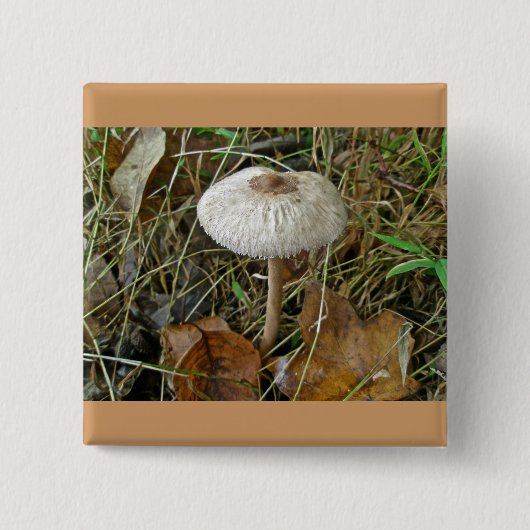 Witte parasolpaddenstoel Coördinerende items Vierkante Button 5,1 Cm (Voorkant)