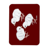 Witte Parelhoenkuikens Magneet (Verticaal)