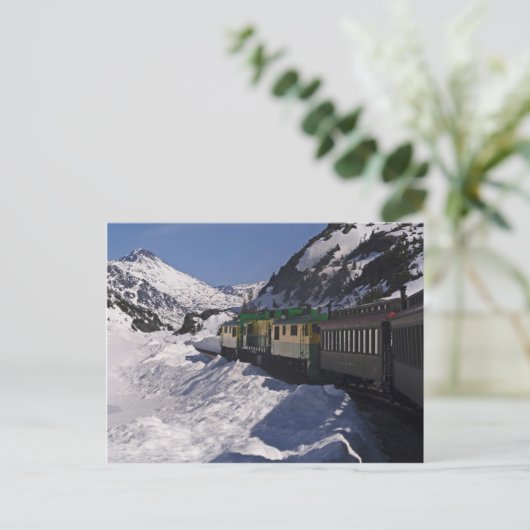 Witte pas 21 briefkaart (Staand voorkant)